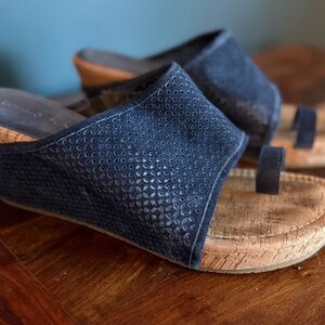 Donald Pliner after Blue Suede Wedge Sandals